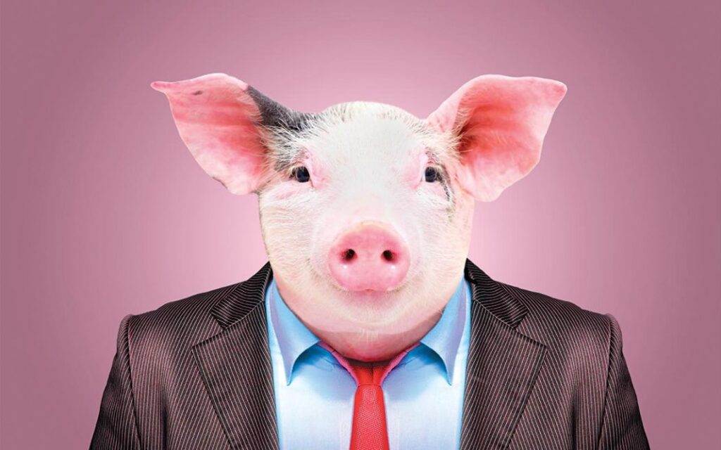 «Το γουρούνι» – Ποιον εννοεί ο Φαήλος Κρανιδιώτης με το άρθρο του;