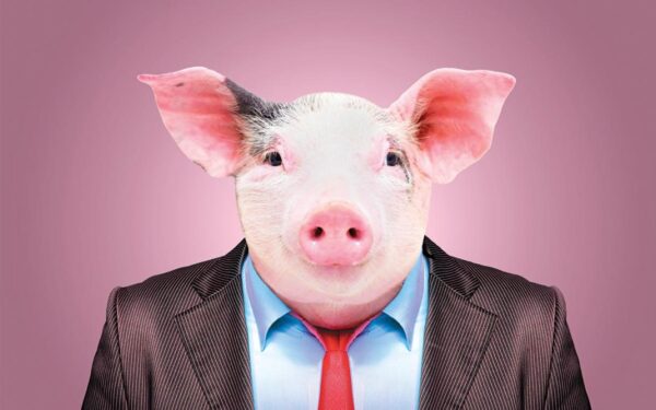 «Το γουρούνι» – Ποιον εννοεί ο Φαήλος Κρανιδιώτης με το άρθρο του;