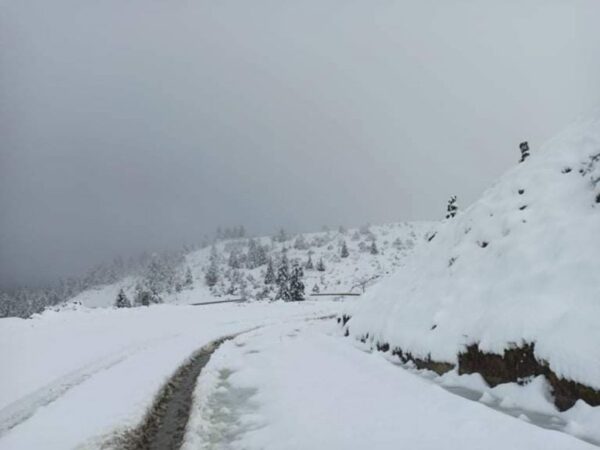 Στο ψυγείο και πάλι η χώρα – Τι λέει ο Αρναούτογλου