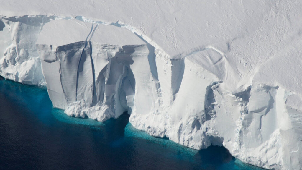 Παράξενη ζωή ανακαλύφθηκε  κάτω από τους θαλάσσιους πάγους της Ανταρκτικής