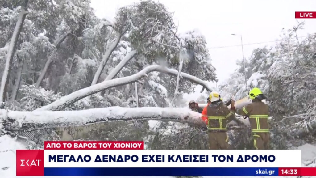 Προβλήματα στην κυκλοφορία -Έπεσαν δέντρα στην Κηφισίας και στη Βασιλίσσης Σοφίας