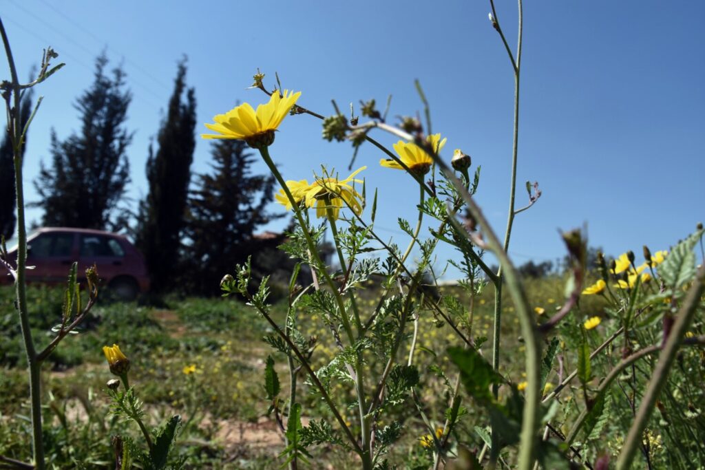 Πέφτει λίγο η θεροκρασία: Ηλιοφάνεια με λίγες νεφώσεις σήμερα