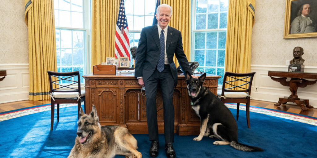 Ο Μπάιντεν έδιωξε τα σκυλιά του από τον Λευκό Οίκο επειδή δάγκωσαν φρουρό!