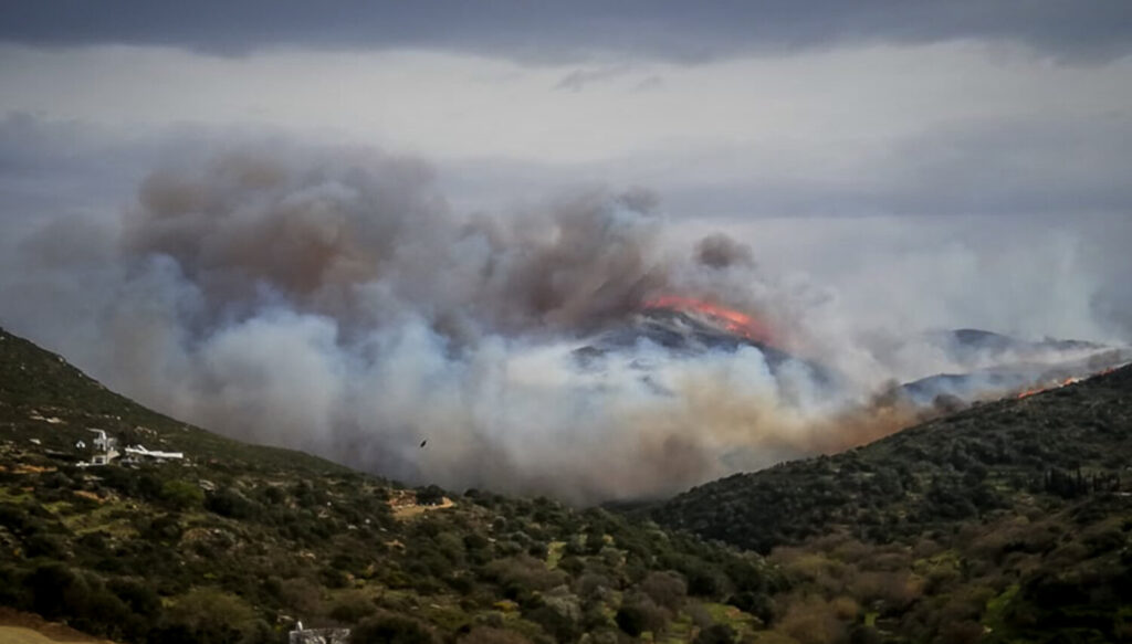 Φωτιά σε δασική έκταση στο Λαύριο – Μεγάλη επιχείρηση της Πυροσβεστικής
