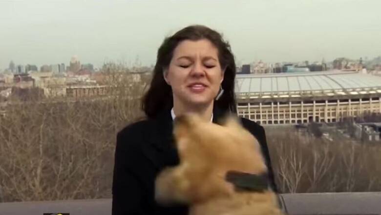 Σκύλος άρπαξε το… μικρόφωνο ρεπόρτερ σε ζωντανή  μετάδοση! (video)