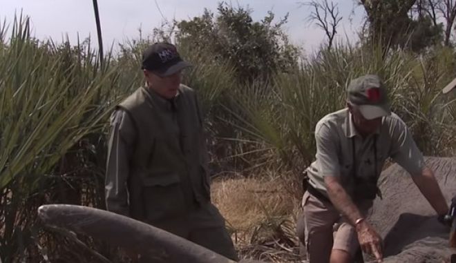ΗΠΑ: Οργή από τη βαρβαρότητα πανίσχυρου λομπίστα υπέρ των όπλων να πυροβολεί ελέφαντα  (video)