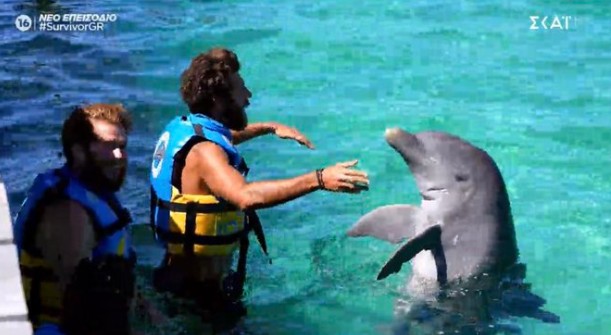 Survivor: Σάλος στο Twitter μετά το χθεσινό έπαθλο με τα αιχμάλωτα δελφίνια