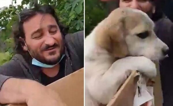 Βασίλης Χαραλαμπόπουλος: Έσωσε κουτάβι μέσα από κάδο απορριμάτων (video)