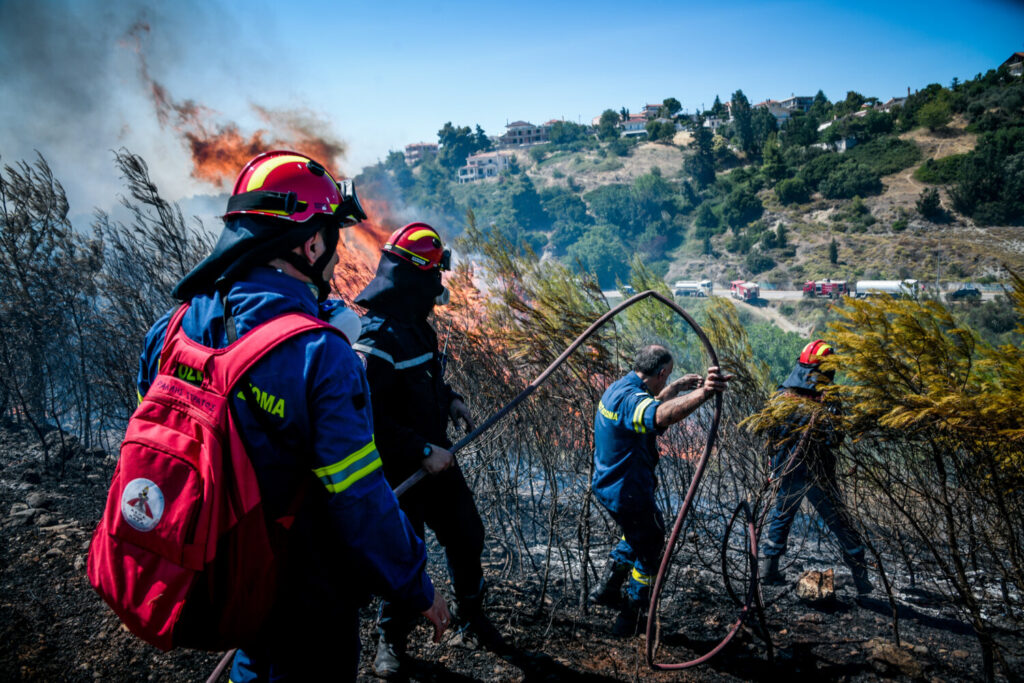 Πυροσβεστική: Συνελήφθη ένα άτομο για εμπρησμό στα Στύρα Ευβοίας