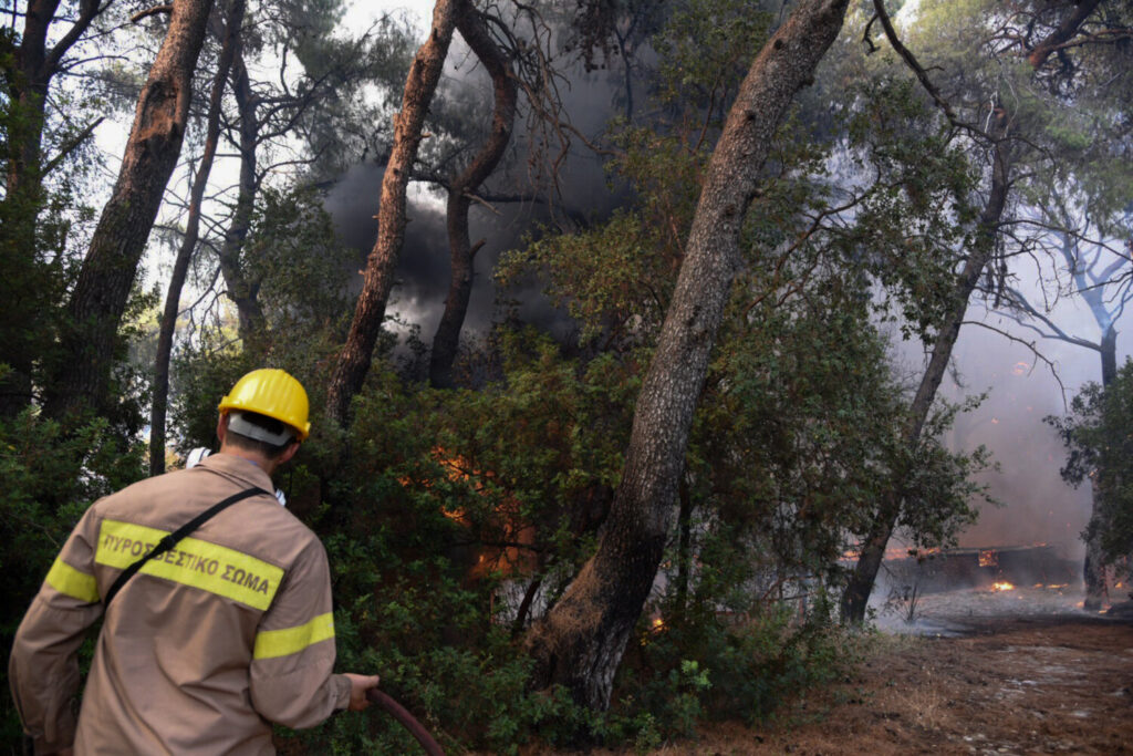 Ολονύχτια μάχη με τη φωτιά στην Αχαΐα – 16 τραυματίες – Ανοιχτές οι Εθνικές Οδοί