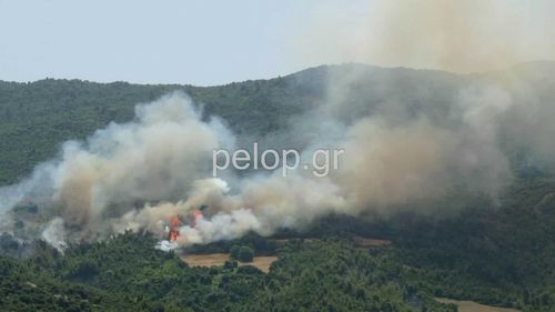 Μεγάλη φωτιά σε δασική έκταση στον Ερύμανθο Αχαΐας – Εκκενώθηκε οικισμός (video)