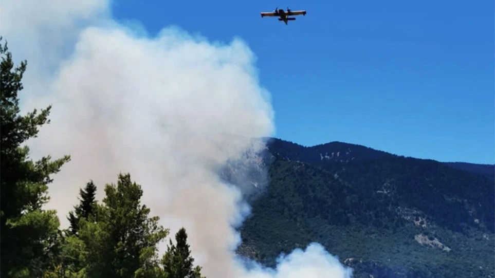 Φωτιά στην Κεφαλονιά:  Μάχη με τις φλόγες- Εκκενώνεται το Καπανδρίτι