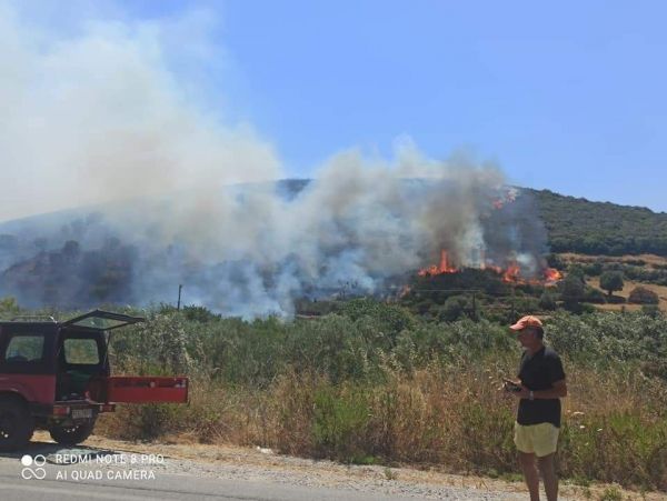 Εύβοια: Νέα  φωτιά σε αγροτοδασική έκταση στο Μετόχι Καρύστου