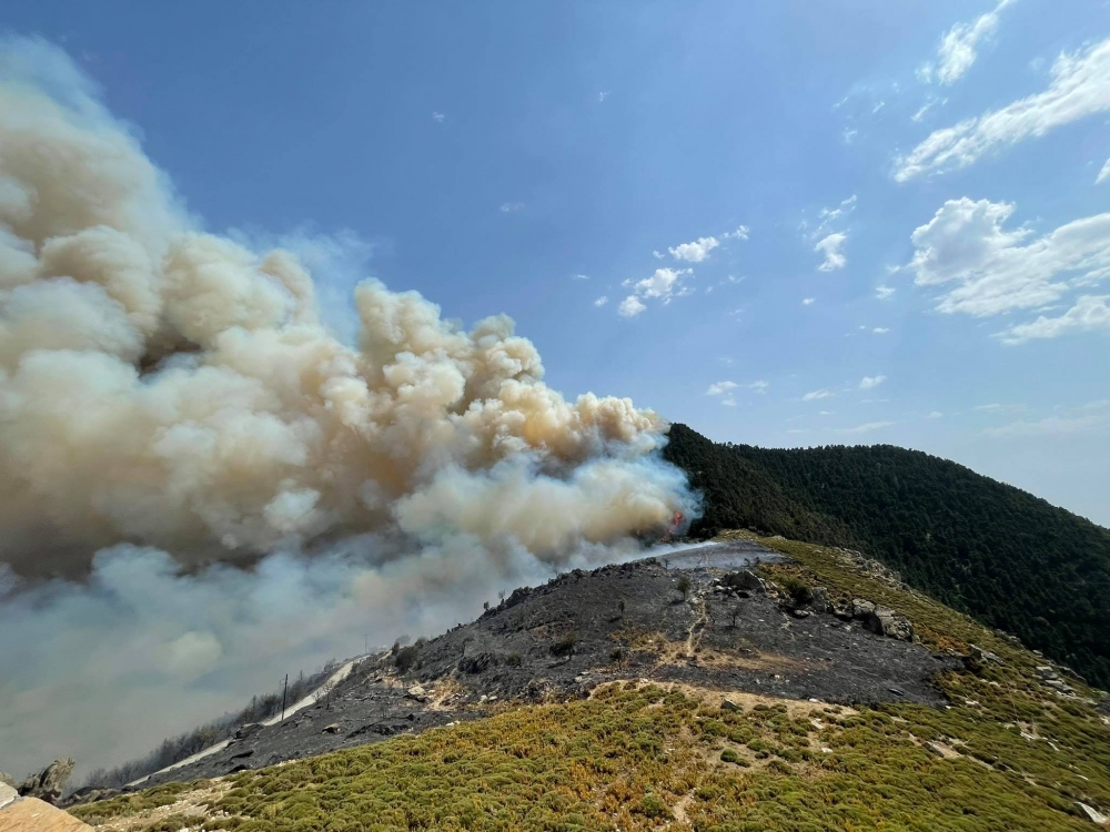 Γρεβενά: Σε ύφεση η πυρκαγιά στο Φελλί