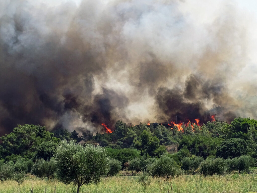 Ολονύκτια μάχη με τις φλόγες στη Ρόδο – Ισχυροί άνεμοι δυσκολεύουν την κατάσβεση [Βίντεο]