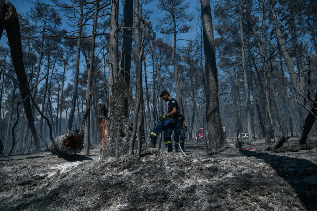 Κοινές περιπολίες Στρατού και Αστυνομίας για την αποτροπή πυρκαγιών