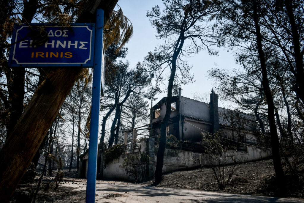 Τα μέτρα στήριξης για τους πυρόπληκτους – Πώς θα γίνει η καταγραφή των ζημιών & πότε θα πάρουν τα πρώτα χρήματα [βίντεο]