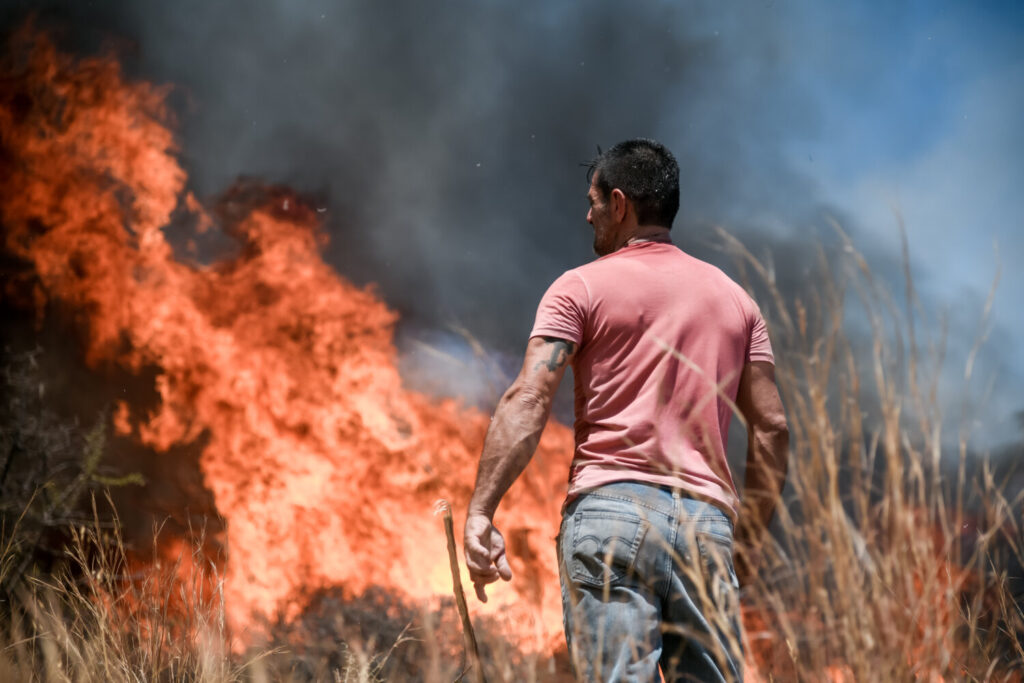 Φωτιές στην Αττική – 155 προσαγωγές και 12 συλλήψεις για εμπρησμό [βίντεο]