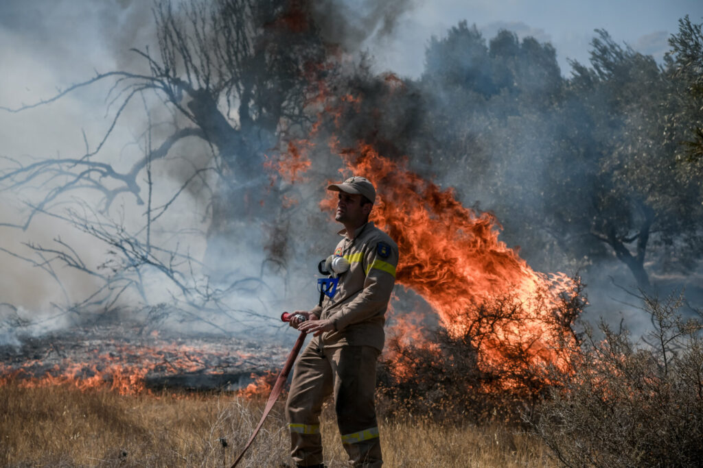 Εκτός ελέγχου η φωτιά στην Κερατέα: Aπειλούνται σπίτια – Μάχη να μη φτάσει στον Εθνικό Δρυμό Σουνίου