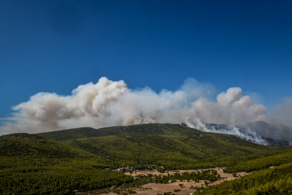 Βίλια: Νέα αναζωπύρωση στο Παλαιοχώρι – Κερατέα: Διάσπαρτες εστίες σε Δημουλάκι, Συντερίνα