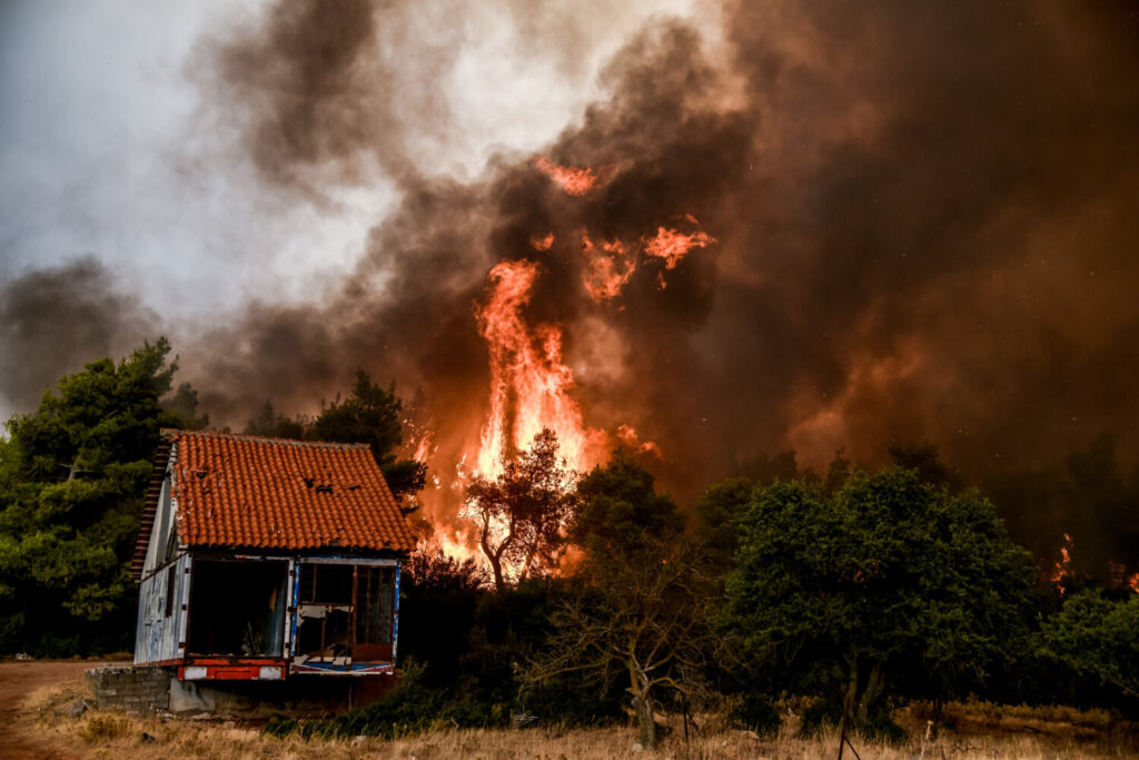 Σε πλήρη εξέλιξη η φωτιά στα Βίλια – Μάχη με τις συνεχείς αναζωπυρώσεις