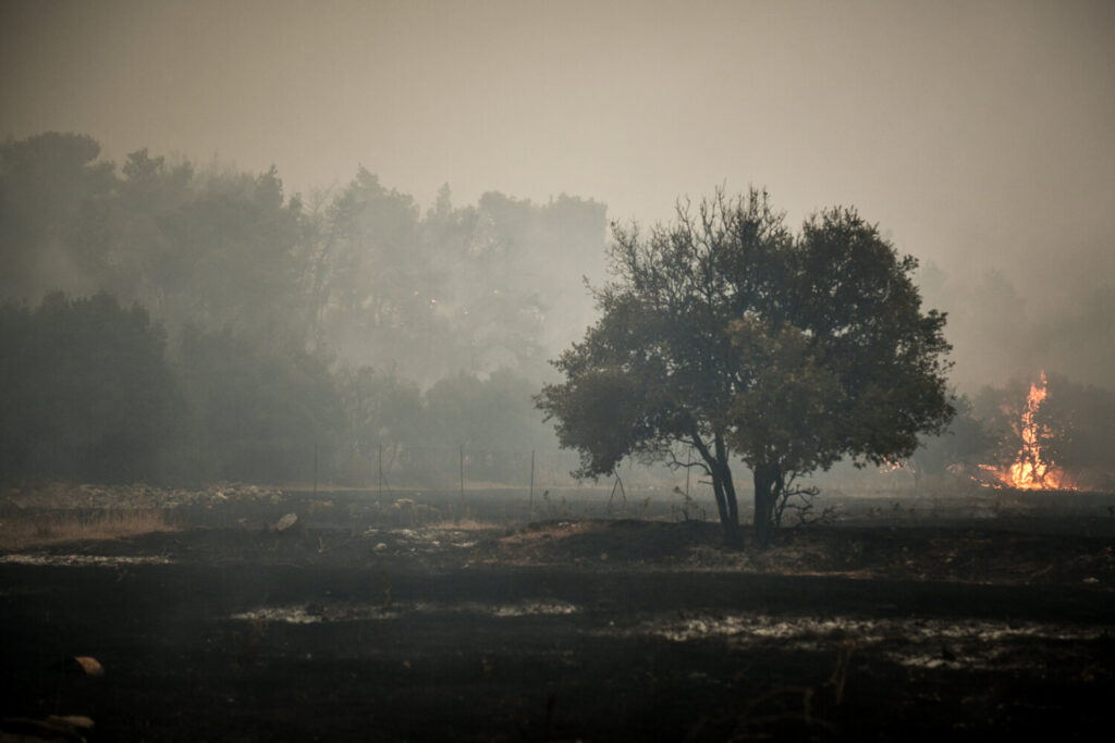 Βίλια: Εκκενώνονται προληπτικά οι οικισμοί Πανόραμα, Καραούλι και Αγία Σωτήρα [Βίντεο]