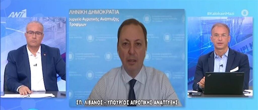 Λιβανός: άμεσα οι αποζημιώσεις στους πληγέντες