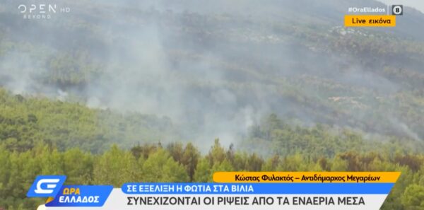 Αντιδήμαρχος Μεγαρέων: Κάνουμε έκκληση για εναέρια μέσα [βίντεο]