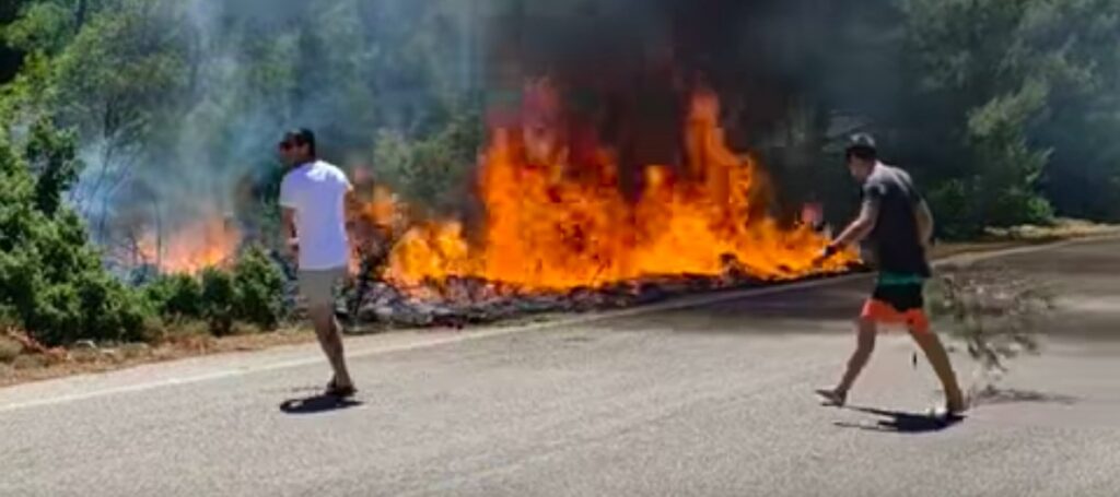 Βίντεο δείχνει πώς ξεκίνησε η φωτιά στα Βίλια – «Μπορούσε να σβήσει σε 20 λεπτά»