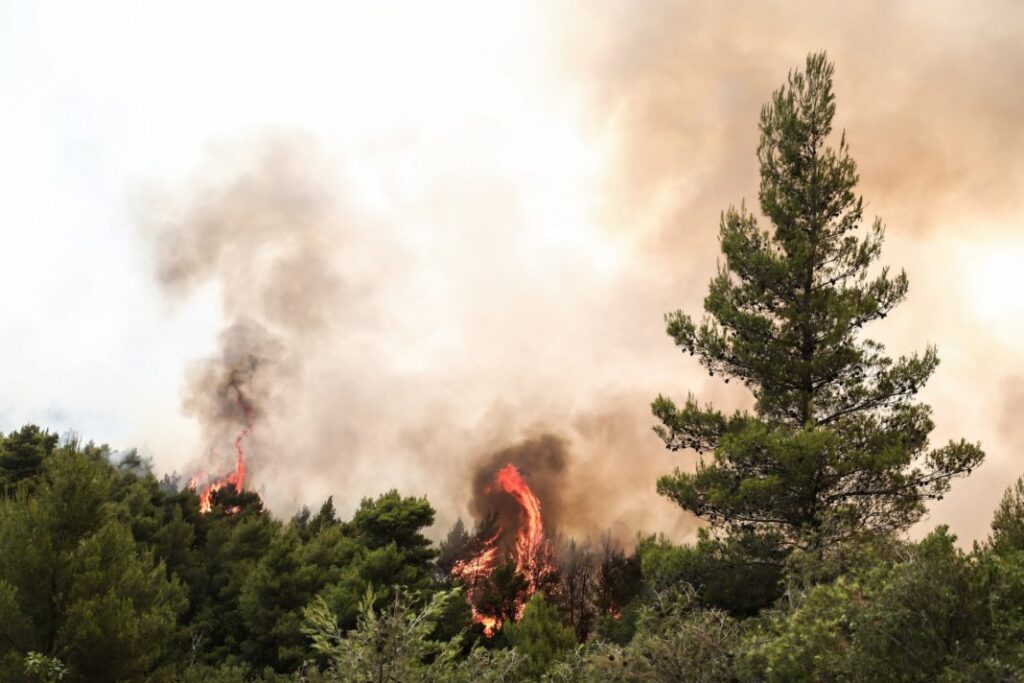 Αντιπεριφερειάρχης Λακωνίας: Στα ορεινά της ευρύτερης περιοχής του Γυθείου η φωτιά
