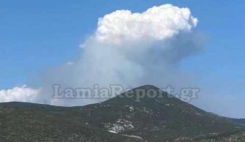 Φωτιά στη Φθιώτιδα:  Οριοθετήθηκε το πύρινο μέτωπο στο Λογγίτσι