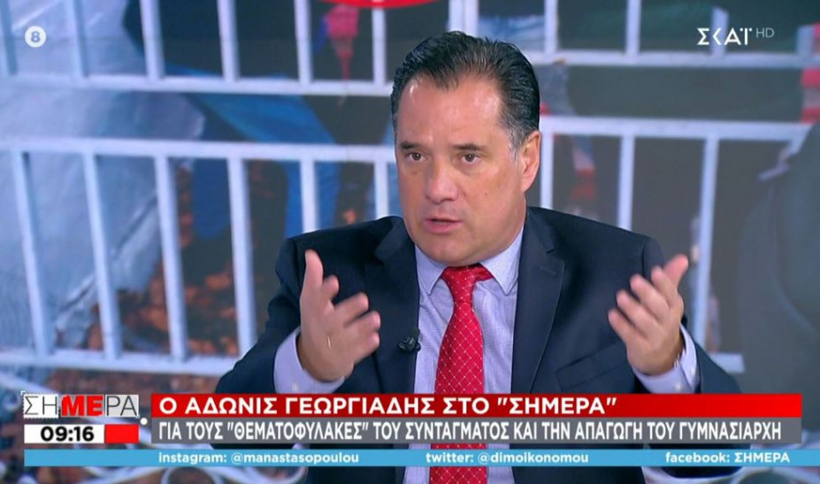 Γεωργιάδης για “Θεματοφύλακες”: Άλλο στολές, άλλο απαγωγές – Σχεδόν τρομοκρατική οργάνωση