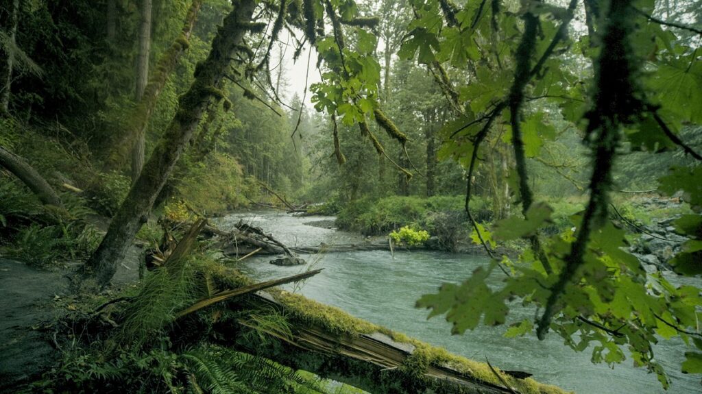 THE AGE OF NATURE: Μια συναρπαστική σειρά ντοκιμαντέρ έρχεται σε Α’ Τηλεοπτική Μετάδοση, στον ΣΚΑΪ