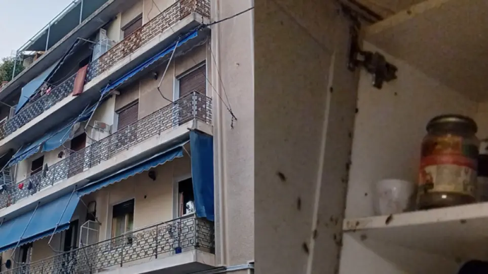 Άγιος Παντελεήμονας: Εικόνες που σοκάρουν μέσα από το σπίτι που ζούσαν τα τρία ανήλικα παιδιά (video)
