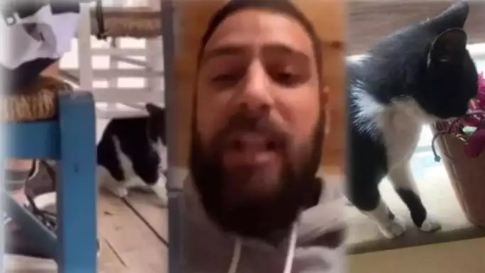 Αιδηψός: Αυτός είναι ο άντρας που κλώτσησε την γάτα στη ταβέρνα – Απαντά με ύβρεις στο Instagram