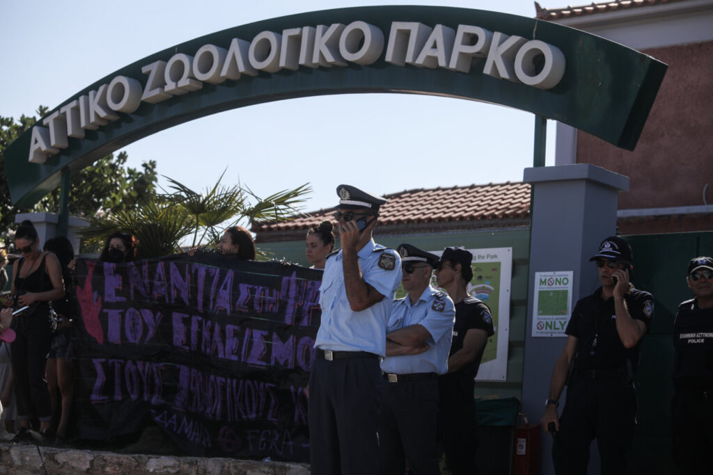 Αττικό Ζωολογικό Πάρκο: Κυβερνητική παρέμβαση για τη θανάτωση του χιμπατζή – Έρευνα για τις συνθήκες λειτουργίας