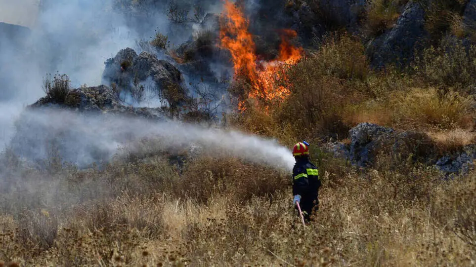 Υπό έλεγχο τέθηκε  η φωτιά σε δασική έκταση στη Σκόπελο – Επιχειρούν τρία αεροσκάφη