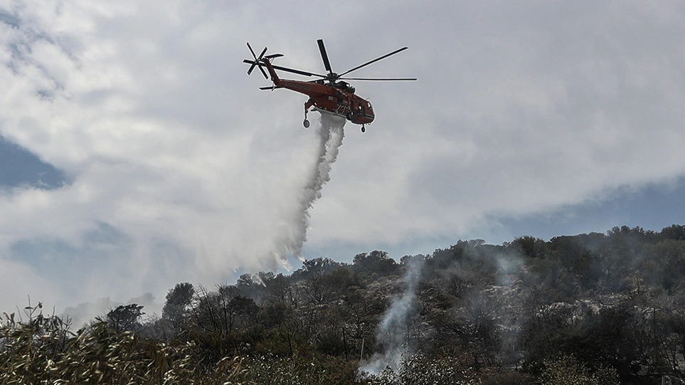 Κάρυστος: Μεγάλη φωτιά σε χαμηλή βλάστηση – Επιχειρούν επίγειες και εναέριες δυνάμεις