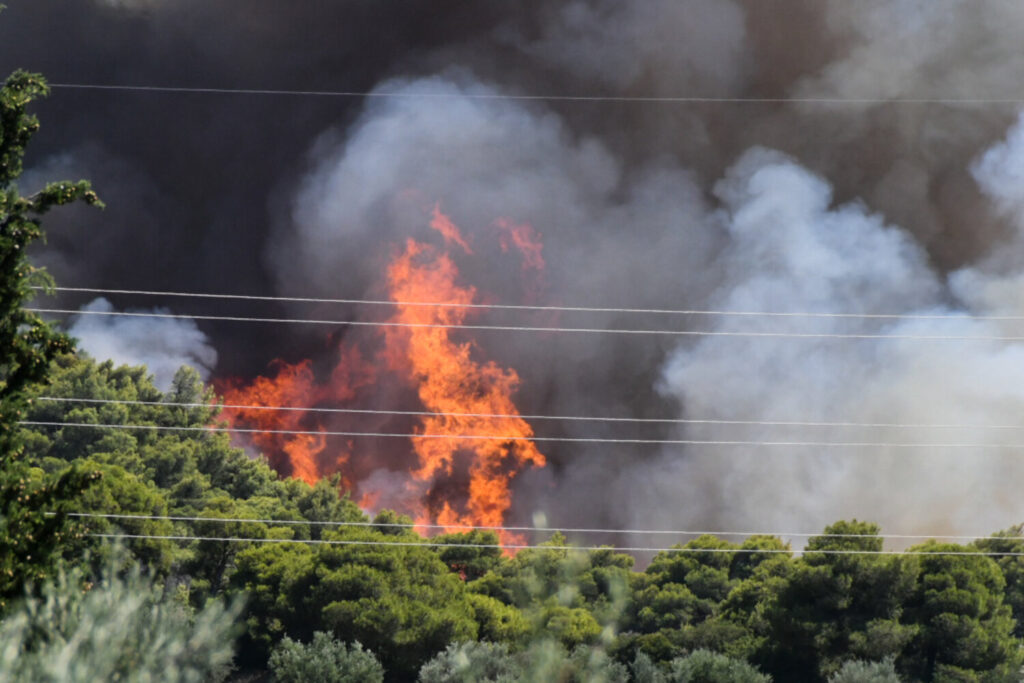 Φωτιά στην Αχαΐα: Εκκενώνονται οι περιοχές Πλατανόβρυση και Αγία Παρασκευή (εικόνες&video)