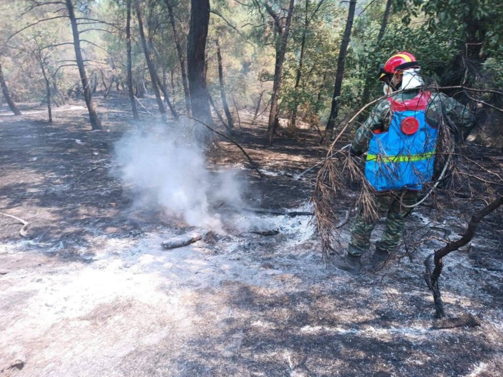 Φωτιά στον Έβρο: Σκληρή μάχη με τις φλόγες για να σωθεί το παρθένο δάσος της Δαδιάς (εικόνες&video)