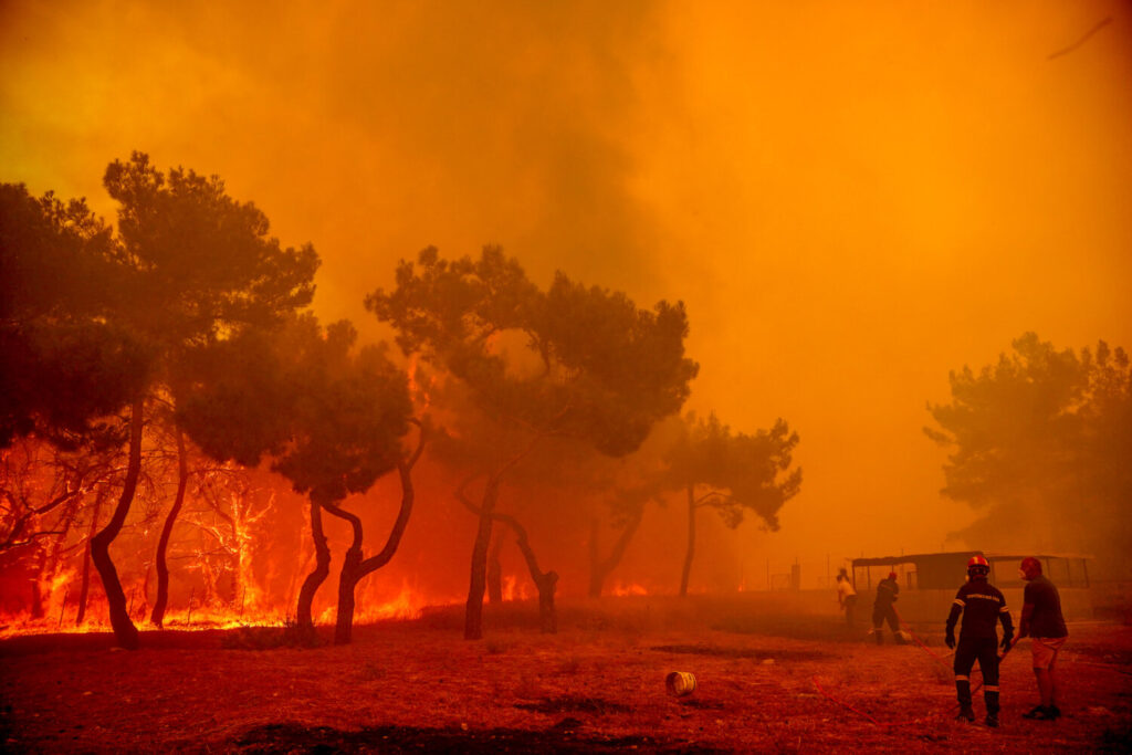 Πυροσβεστική: Στις 58 οι δασικές πυρκαγιές το τελευταίο 24ωρο