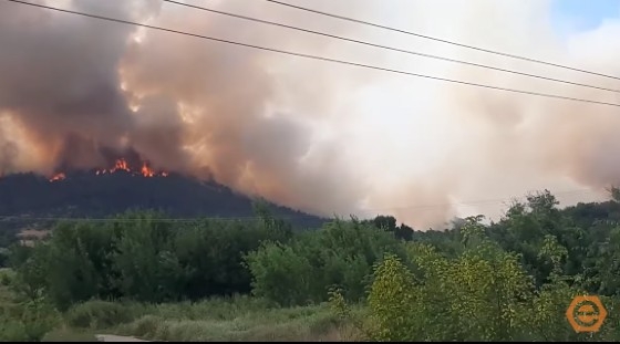 Φωτιά στο Άγιο Όρος: Καίγεται δάσος στη Μονή Μεγίστης Λαύρας – Ενισχύονται οι δυνάμεις της Πυροσβεστικής