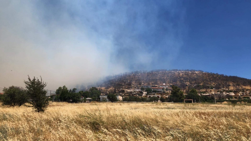 Μεγάλη φωτιά στην περιοχή Φέριζα στο Δήμο Σαρωνικού – Μήνυμα του 112 για εκκένωση σε δύο οικισμούς
