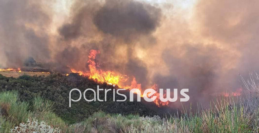 Φωτιά στην Ηλεία: Εντολή από το 112 για εκκένωση του οικισμού Πηγάδι –  Μάχη σε 3 πύρινα μέτωπα (εικόνες&video)