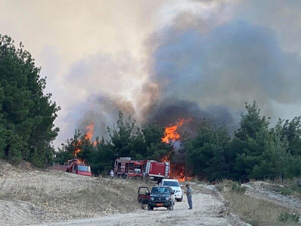 Πύρινο μέτωπο  και στο Σουφλί: Μάχη να μην φτάσουν οι φλόγες στο δάσος της Δαδιάς