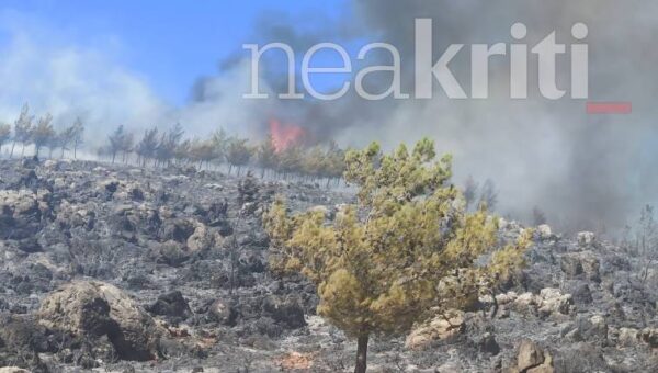 Ηράκλειο: Οριοθετήθηκε η φωτιά στο δάσος της Κέρης (εικόνες&video)