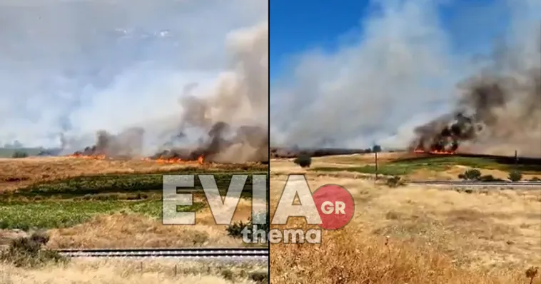 Σχηματάρι: Ξέσπασε μεγάλη φωτιά – Εκκενώνεται προληπτικά το Δήλεσι (video)