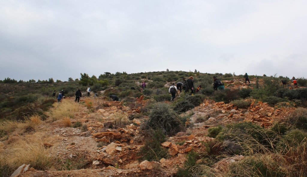 Όλοι Μαζί Μπορούμε: Δενδροφύτευση στην Πεντέλη, την Κυριακή 18 Δεκεμβρίου