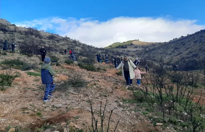 Ολοι Μαζί Μπορούμε: Δενδροφύτευση στην Αλεξανδρούπολη την Κυριακή 29 Ιανουαρίου