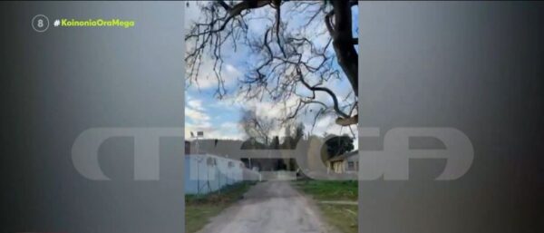 Τατόι: Πώς αναμόρφωσαν τα πρώην βασιλικά κτήματα για την ταφή του τέως βασιλιά Κωνσταντίνου (video)